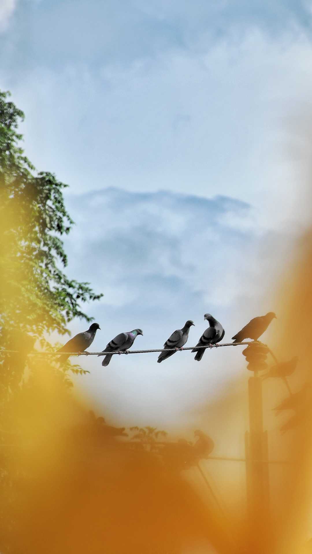 peagan 🕊️