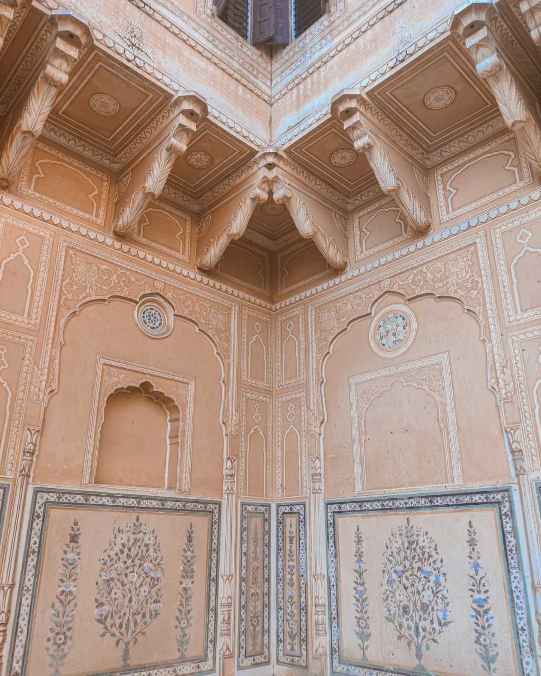 pretty walls of Jaipur 