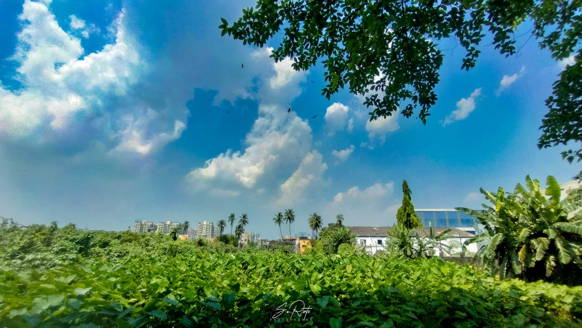 beauty of nature 