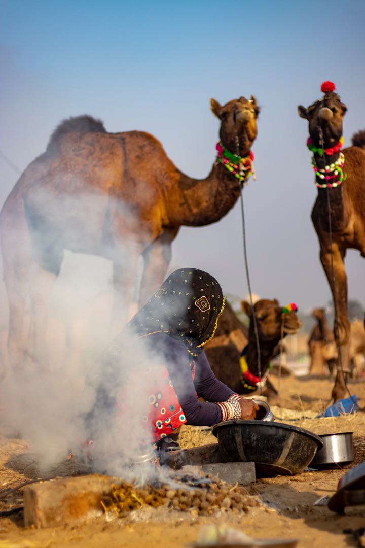 pushkar series 9/9