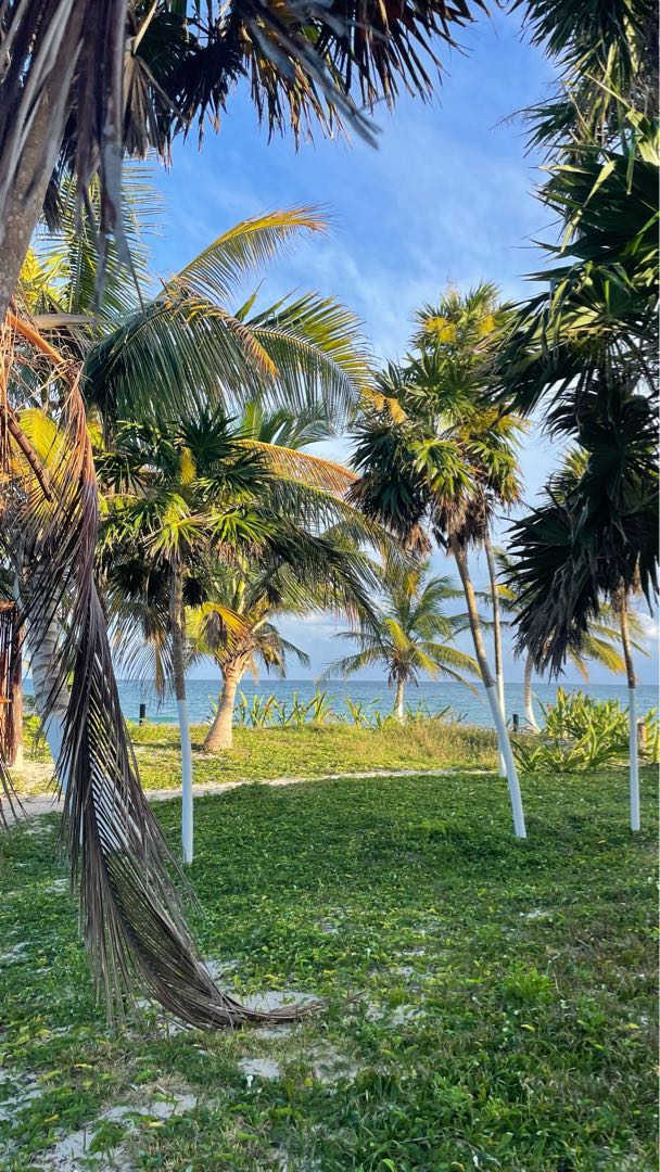 Tulum 🇲🇽