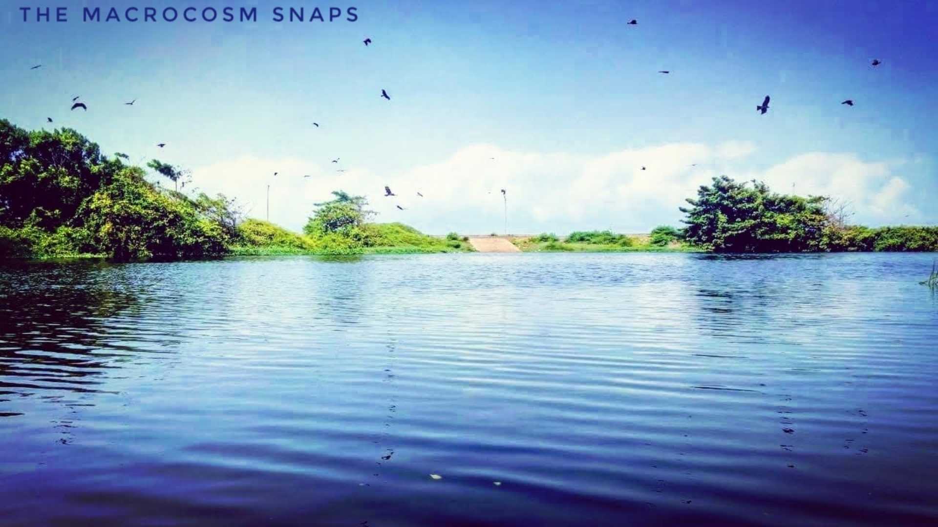 God's own country 🌍