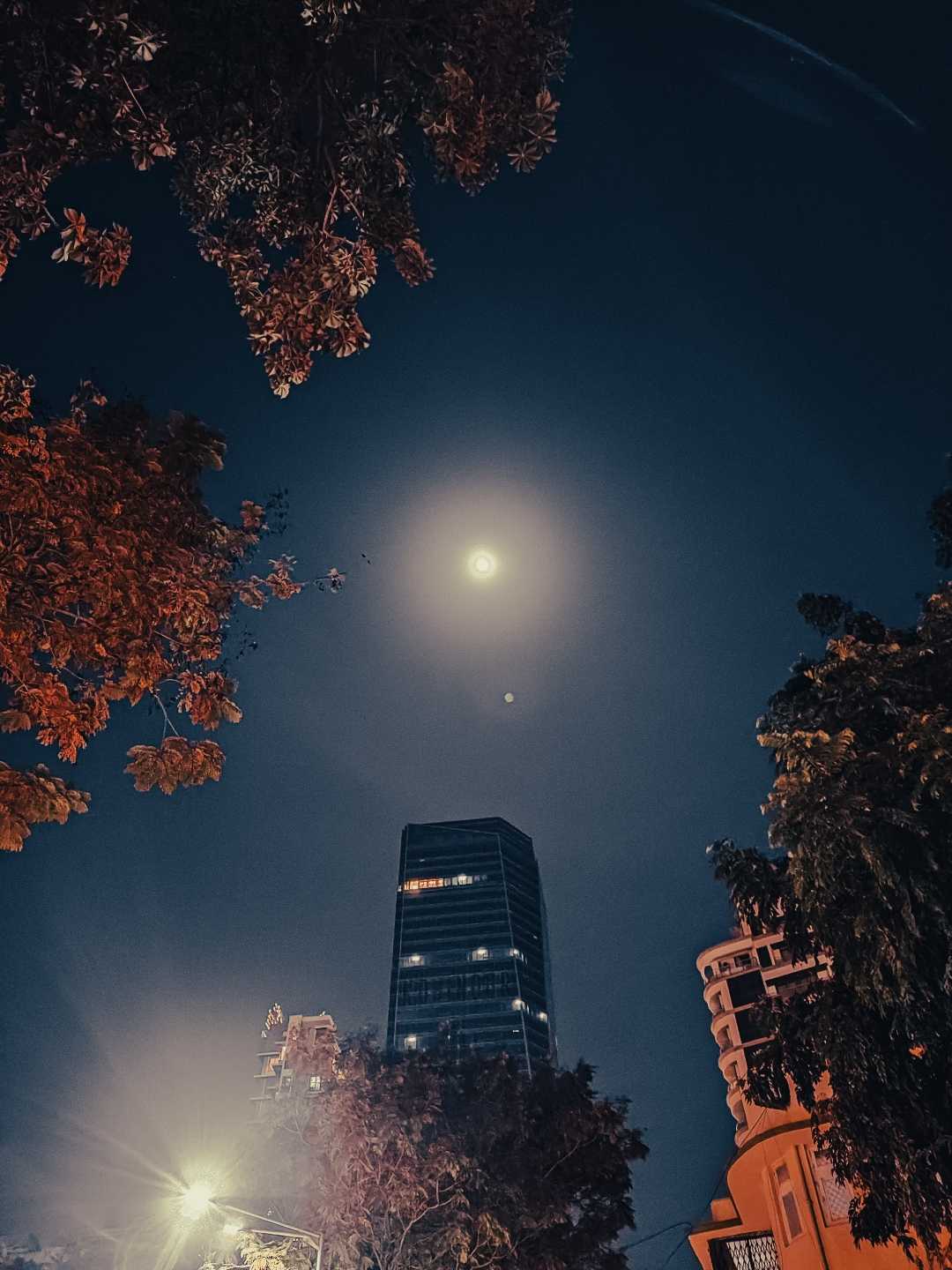 moon light