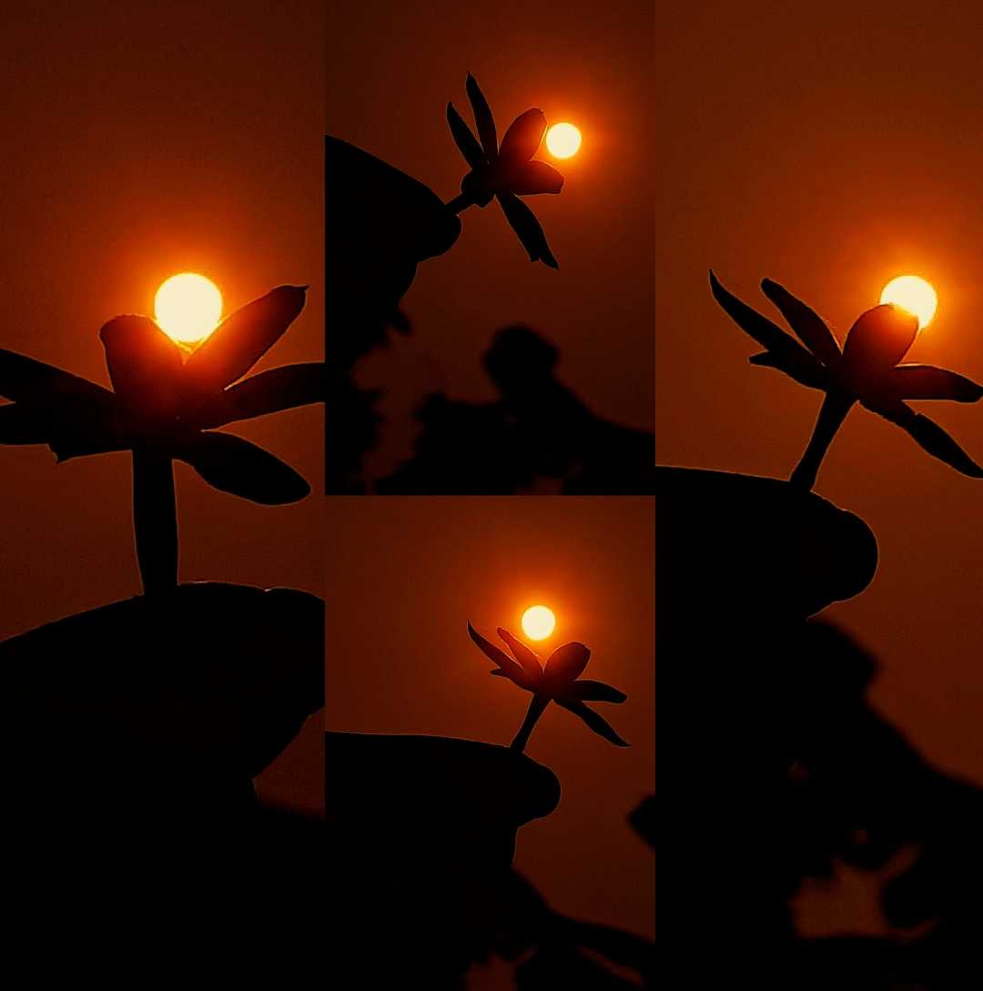 sunset lovers...🧡✨️