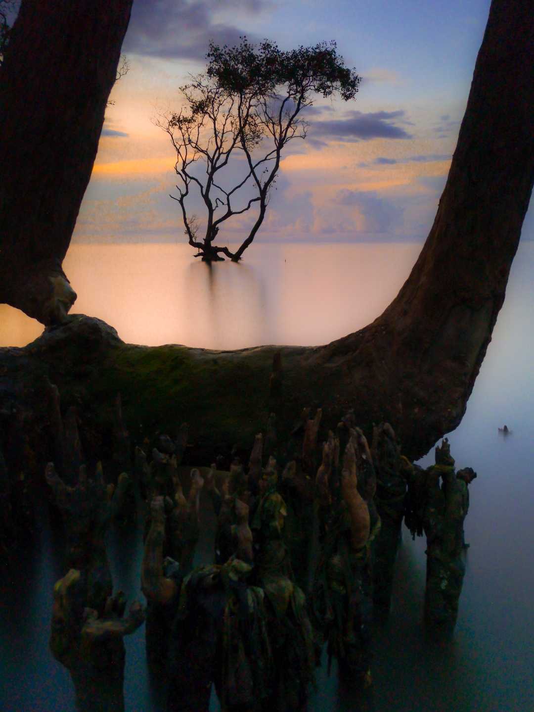 Pantai Joko Mursodo
