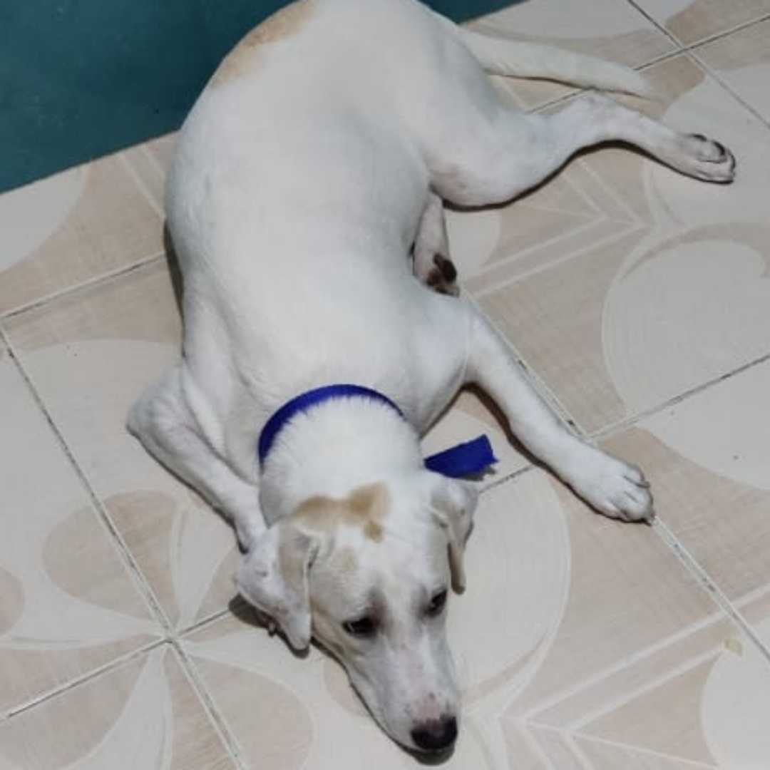 My love - Rambo ❤️
