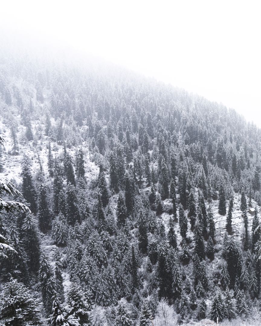 Landscapic Himachal