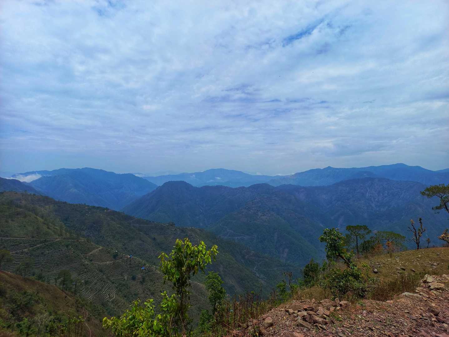 Nature peace