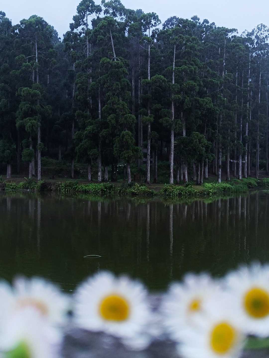 Beautiful Mirik Lake 