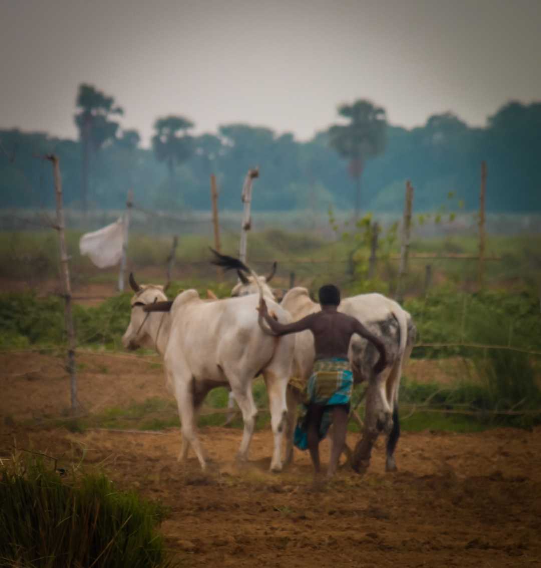 Farmer photography ❤️