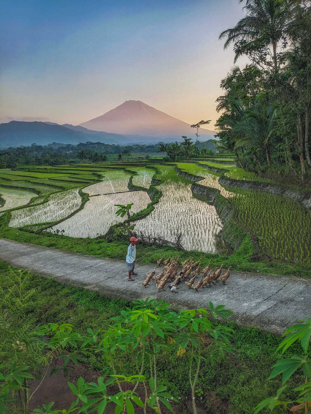 Landscape