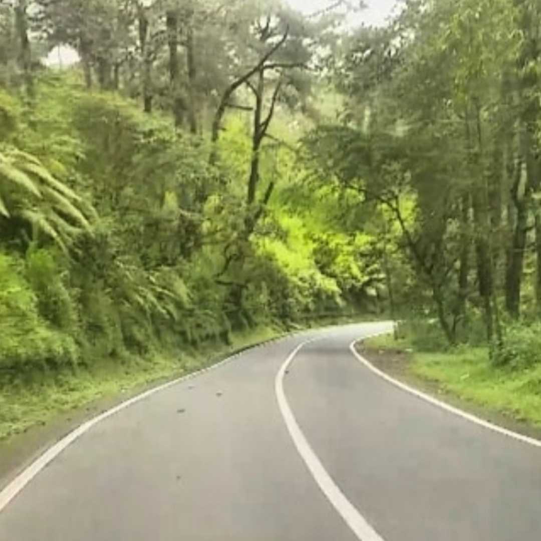rindang  jl.gunung batur