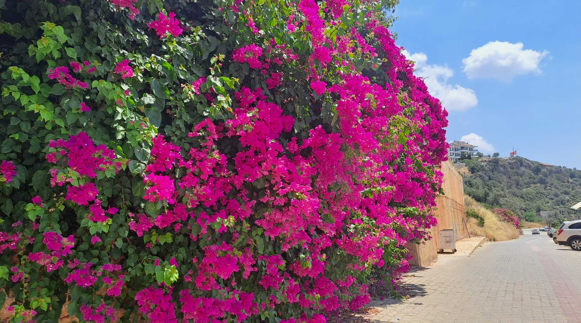 Antalya/Kaş💗💗