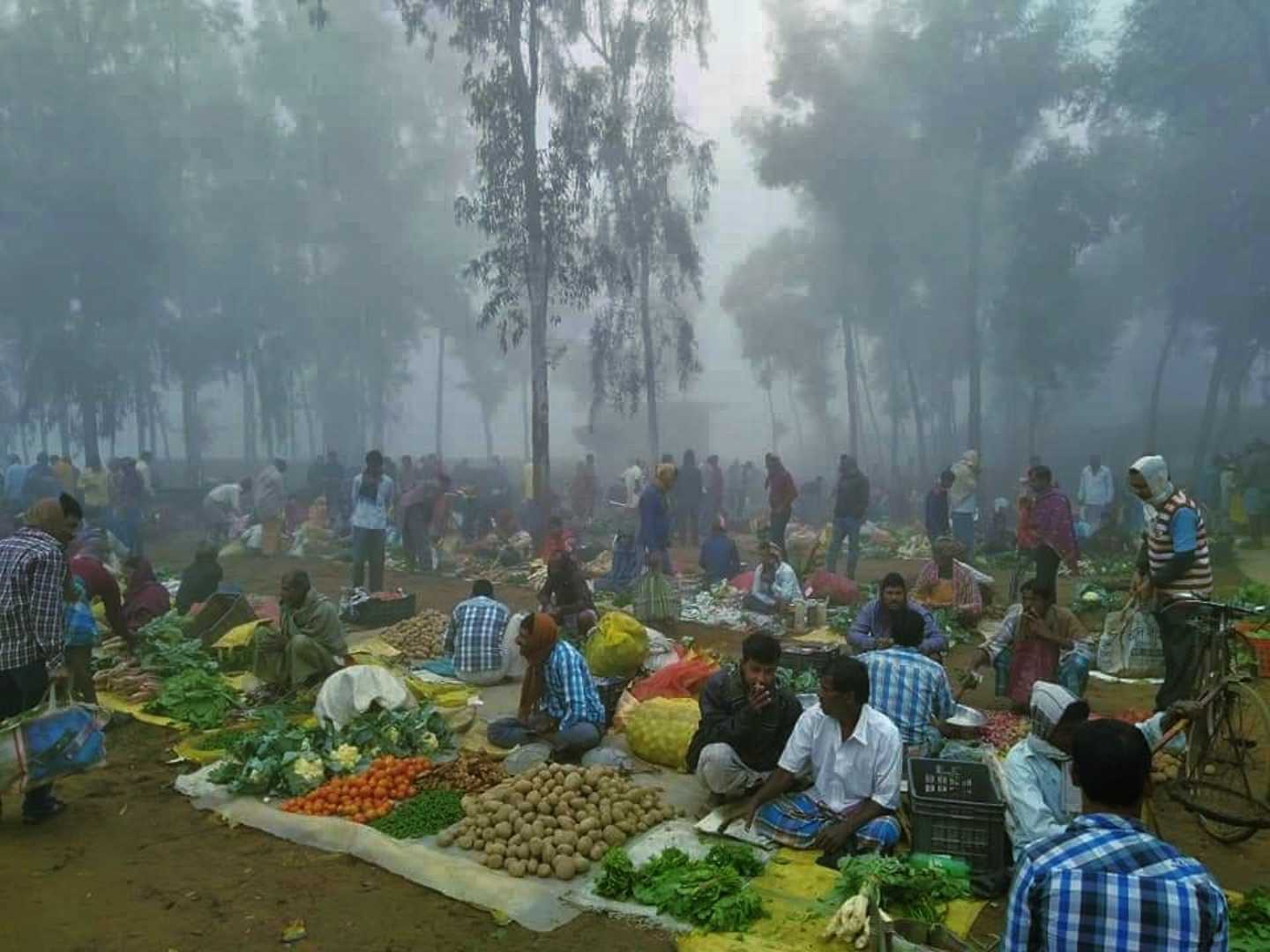 শীতের আগমনী বার্তা 😍