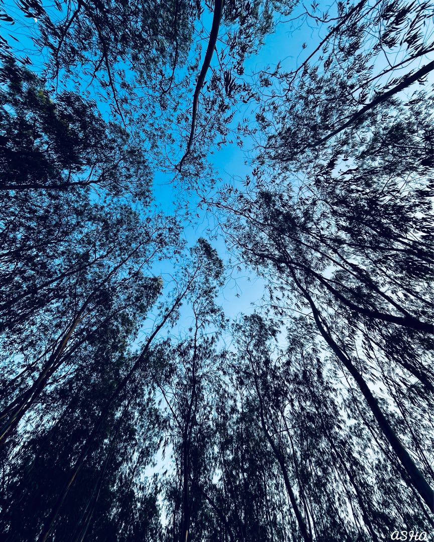 Good morning 💙