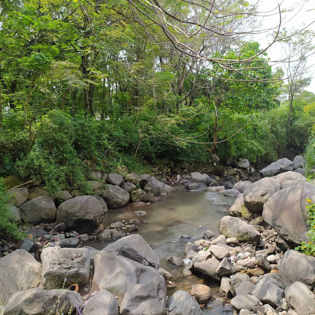 Taman Dayu