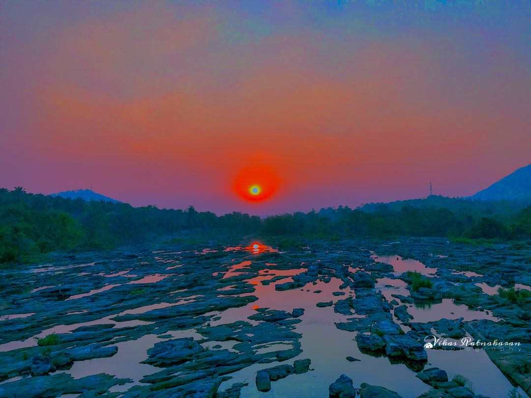 Thumboormuzi forest