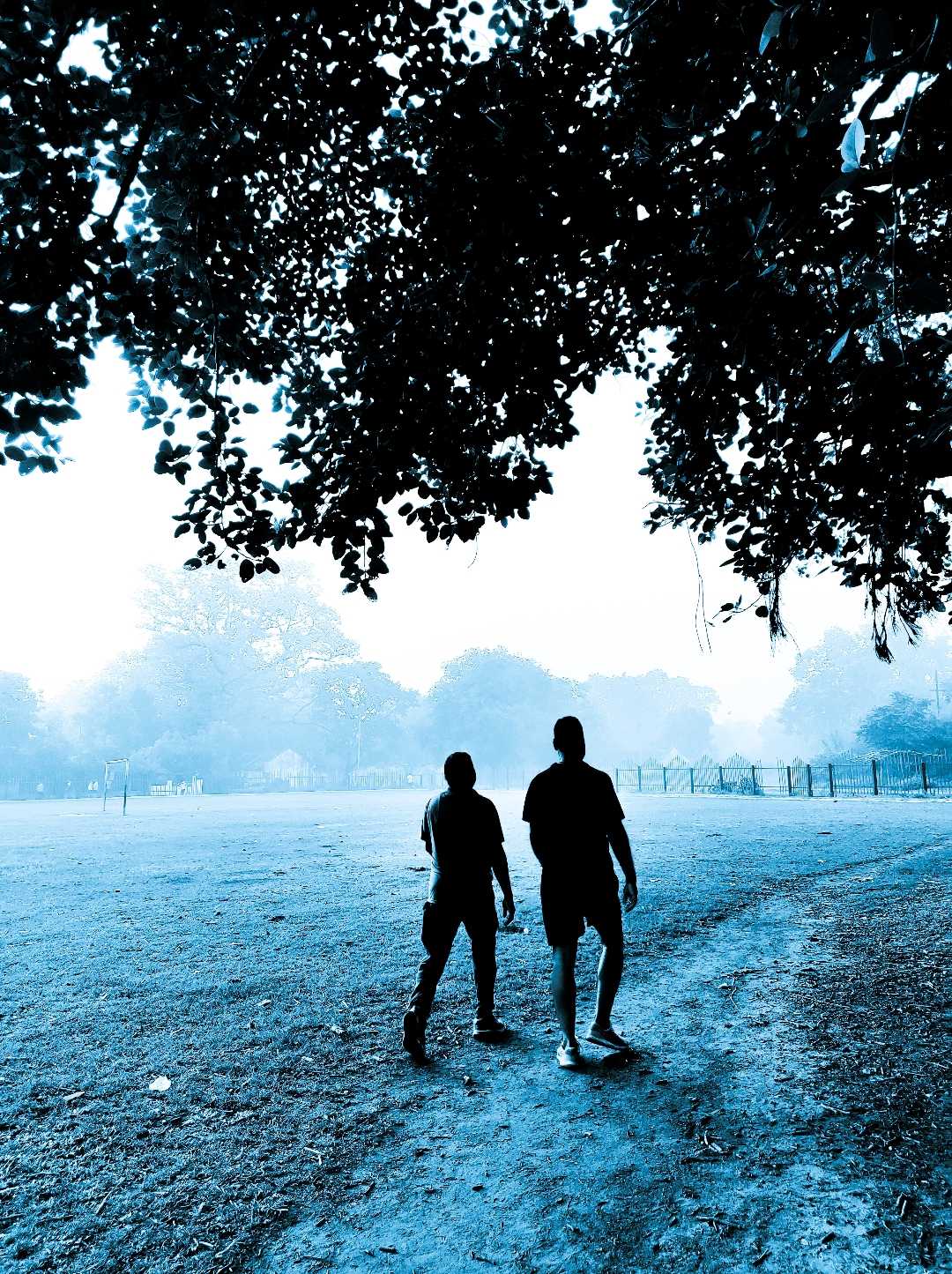 Morning walk 🚶