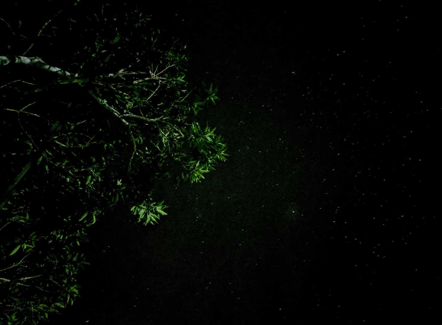 Astrofotografi