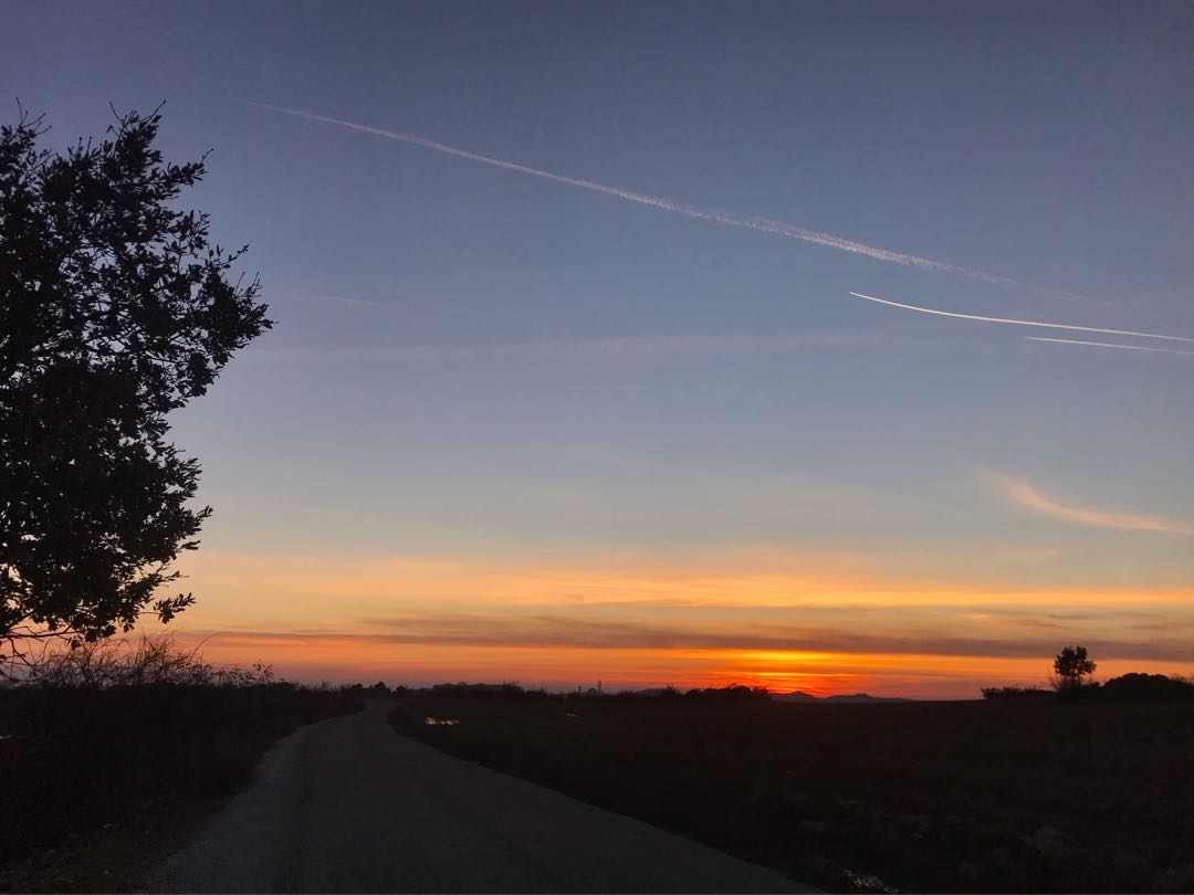 🌤