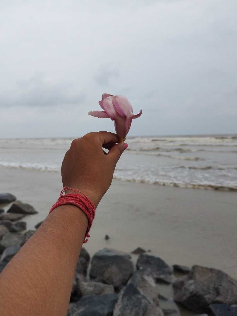 🌸