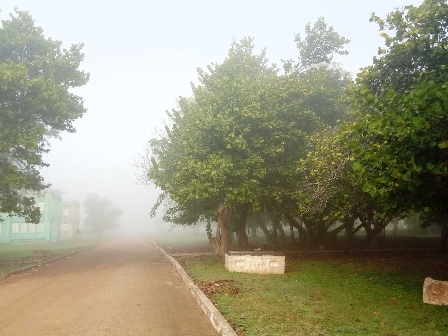 neblina mañanera
