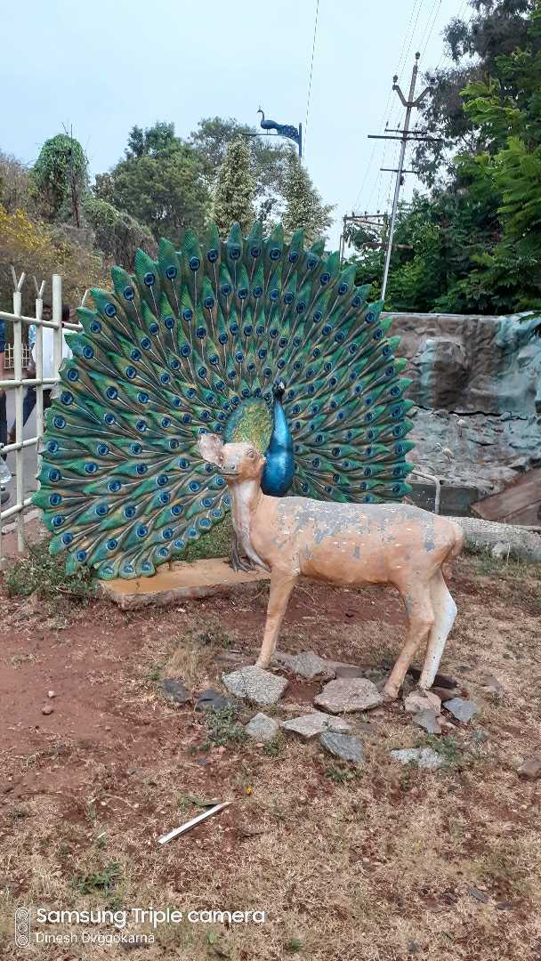 animal