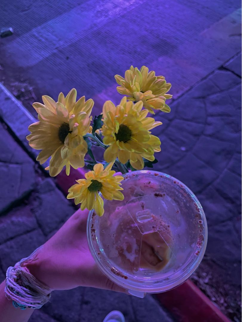 🌼
