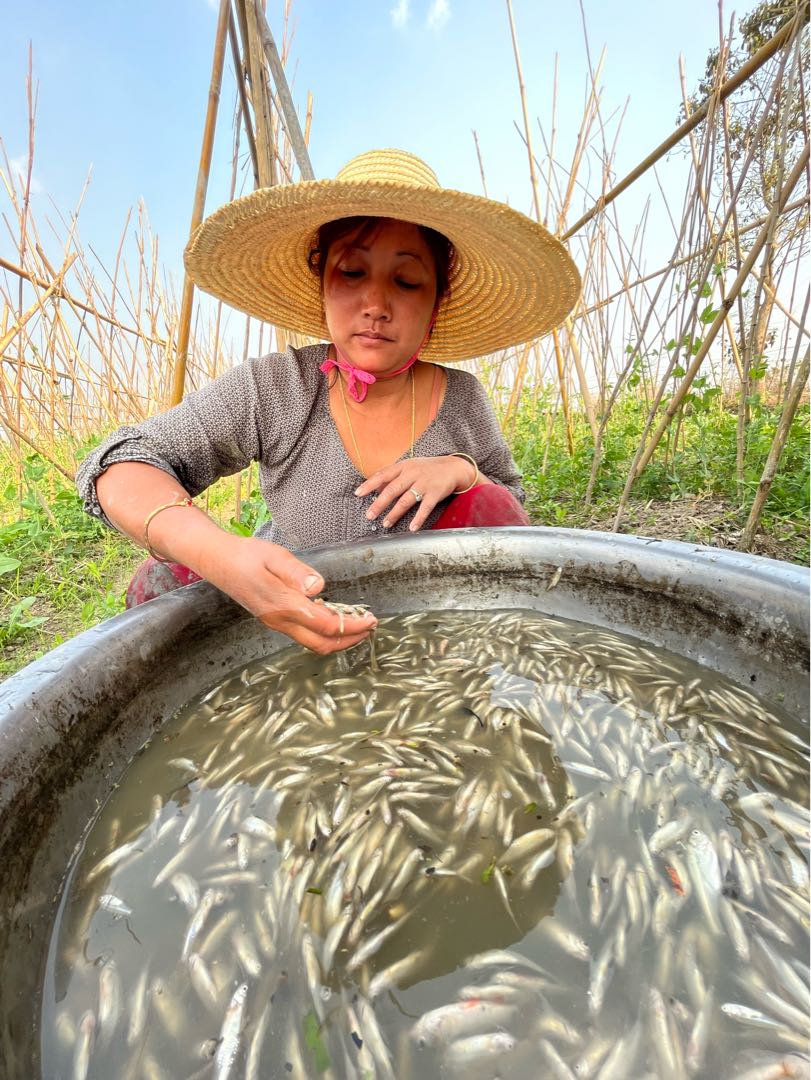 fisherwoman 