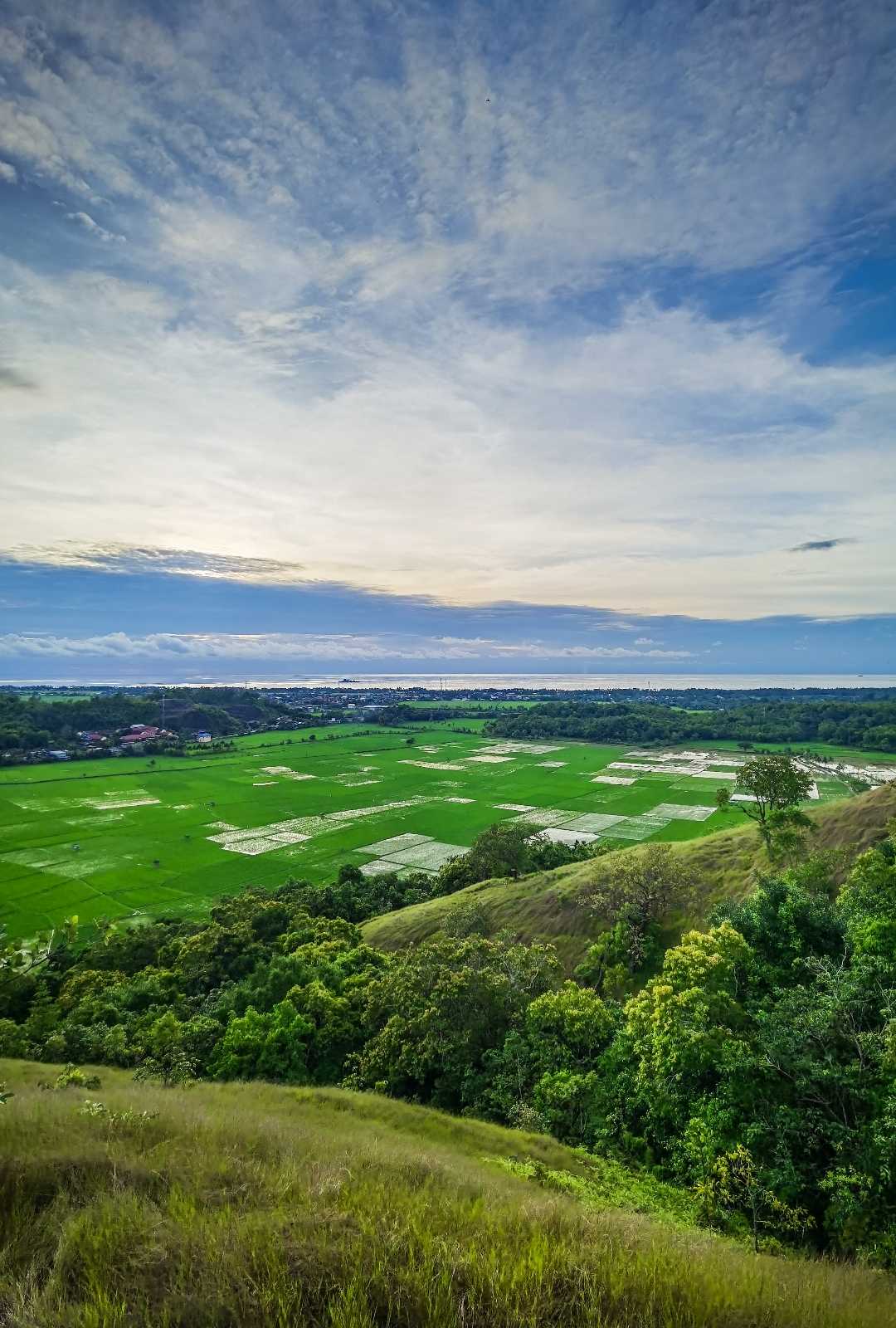 Bukit Jelloreng