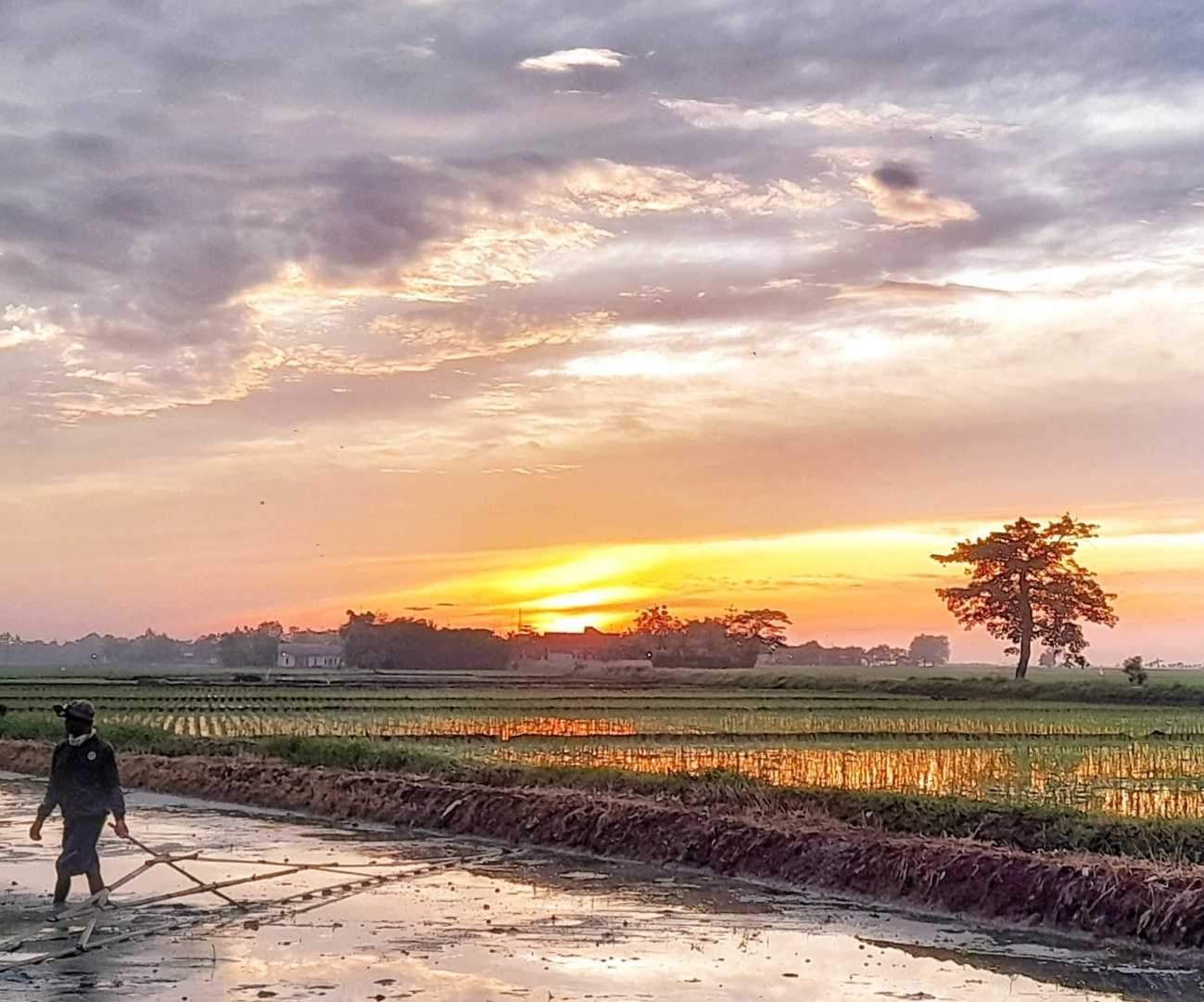 Ada yg Minat Jadi Petani?