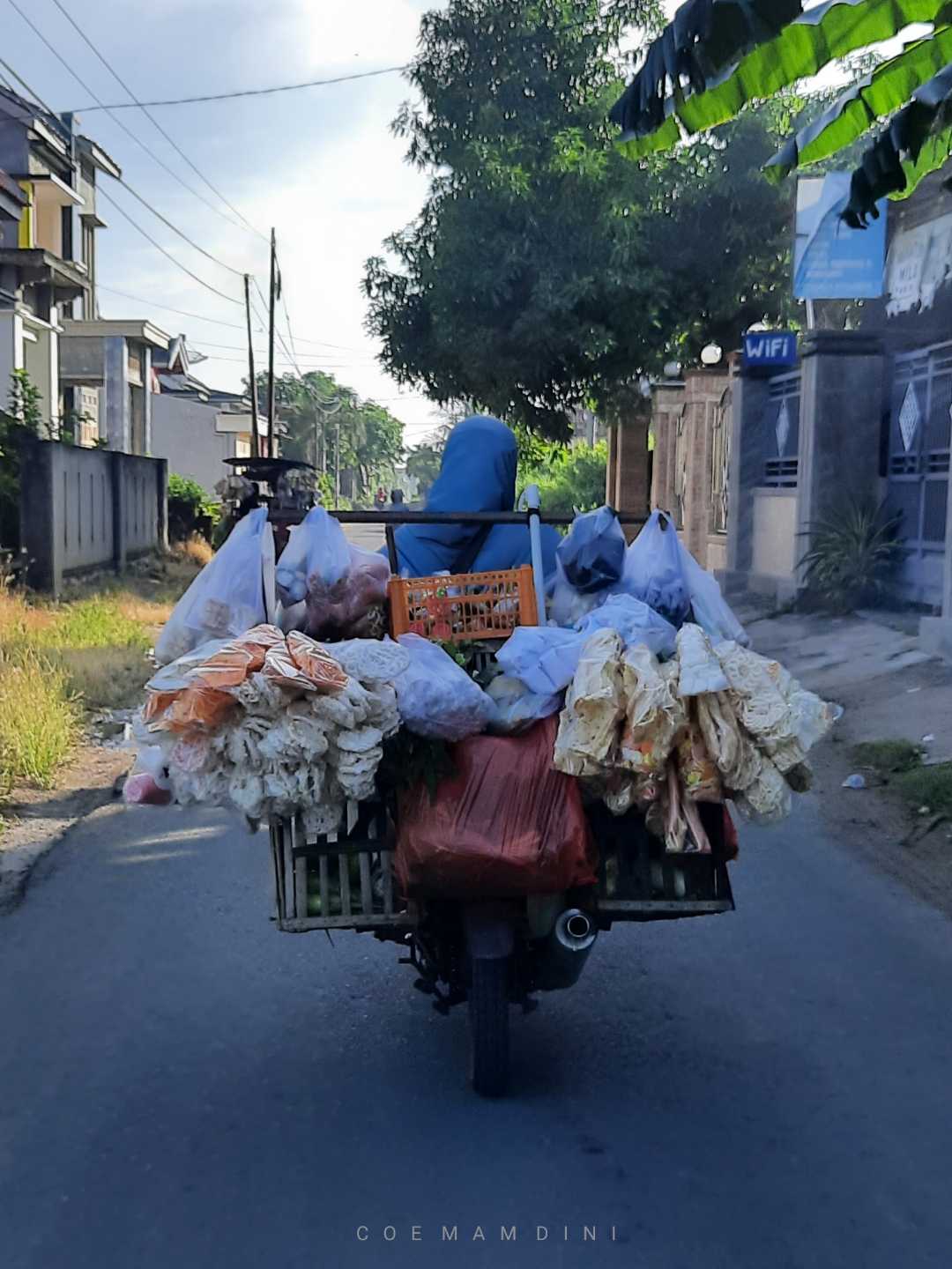 PEDAGANG SAYUR KELILING