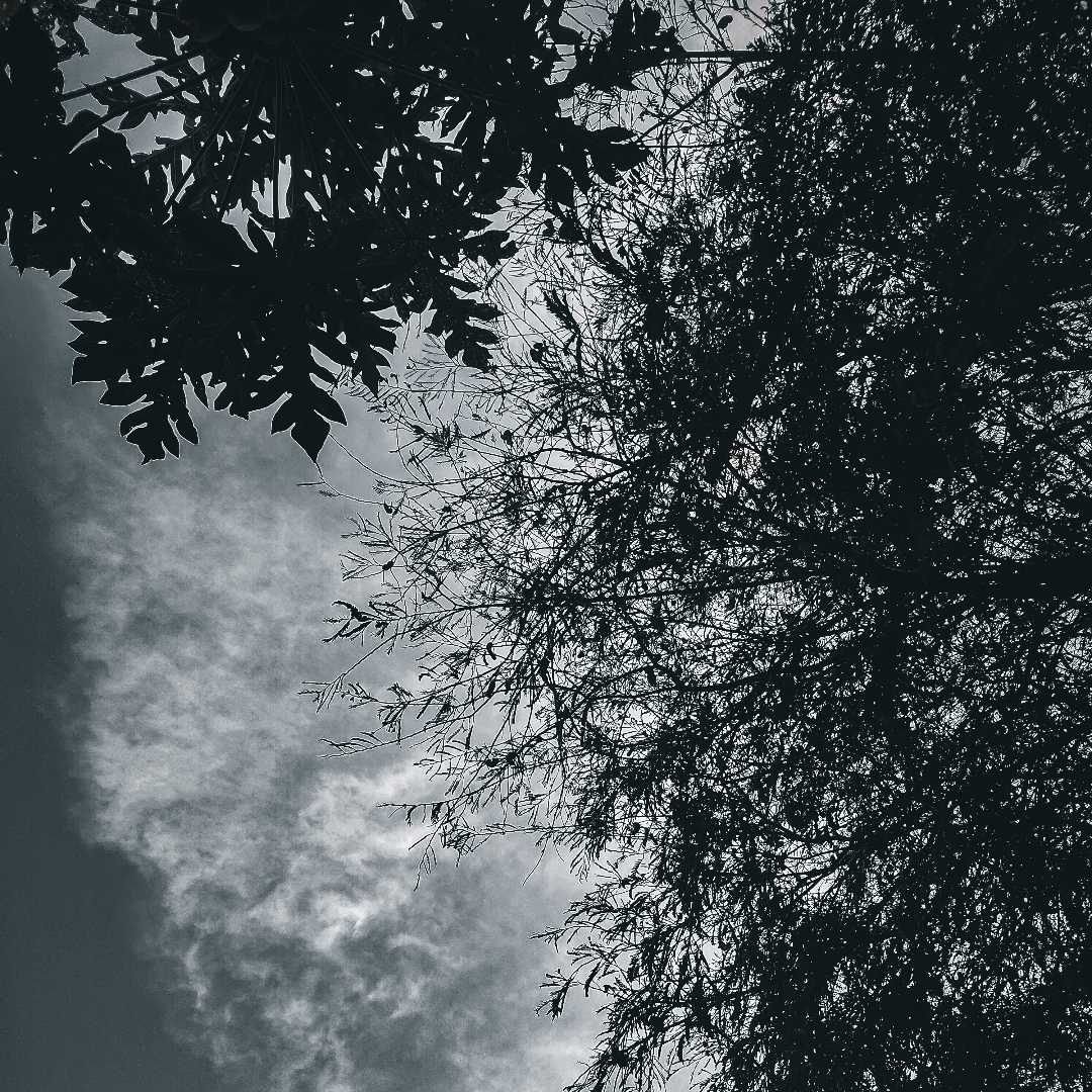 The cloudy day 🖤