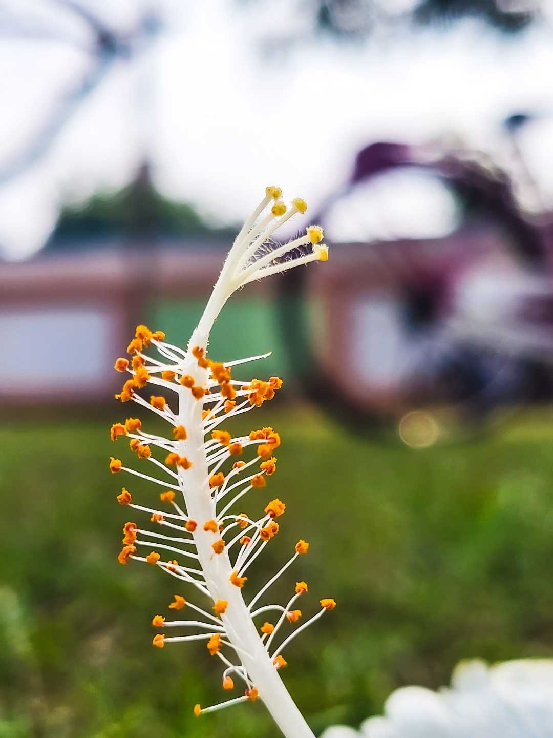 There's nothing like fresh flowers