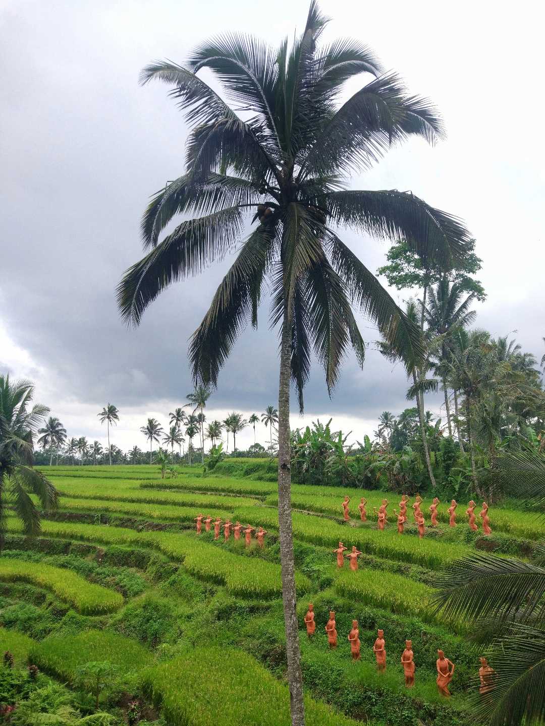 Taman Gandrung Terakota