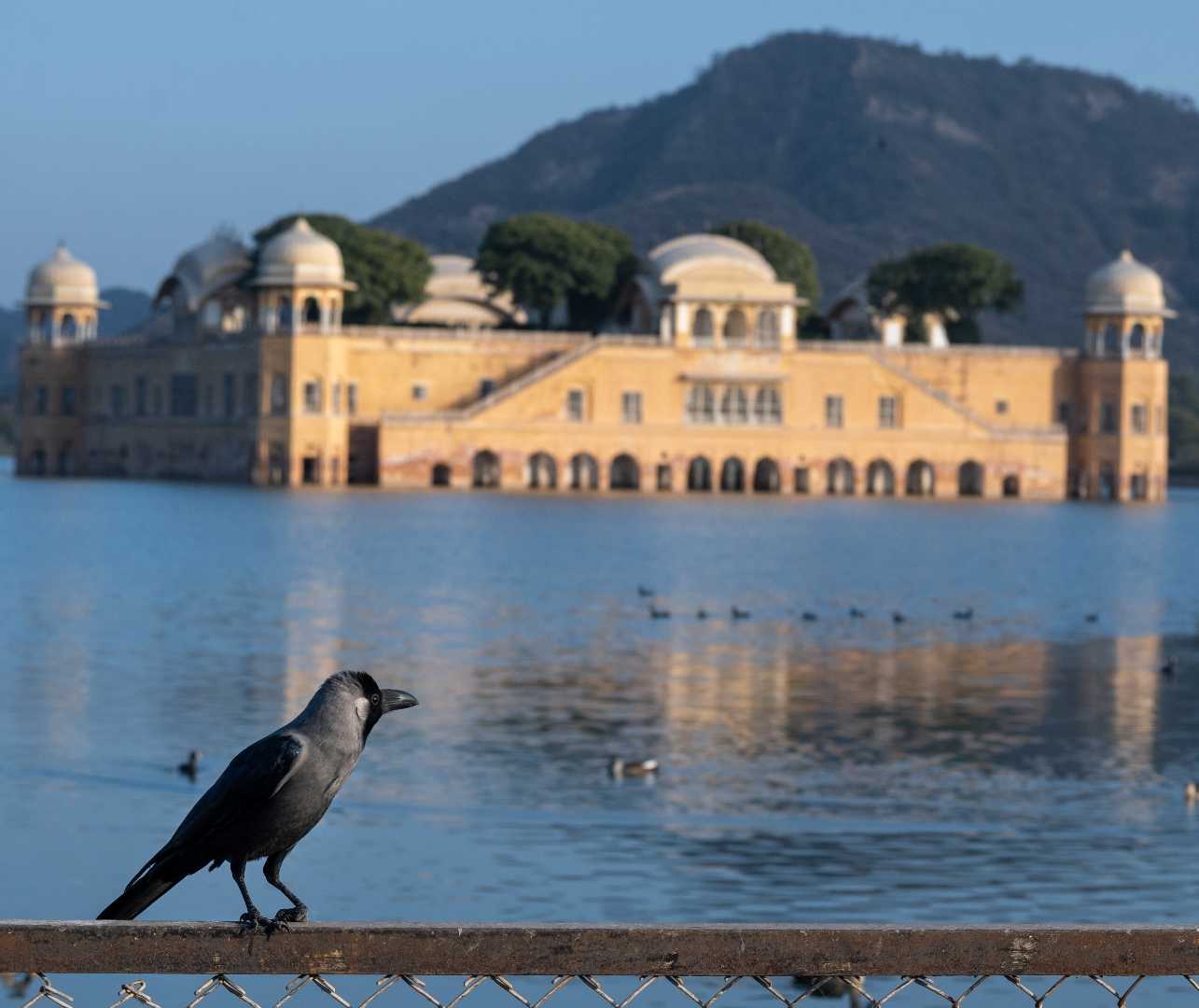 The water palace 