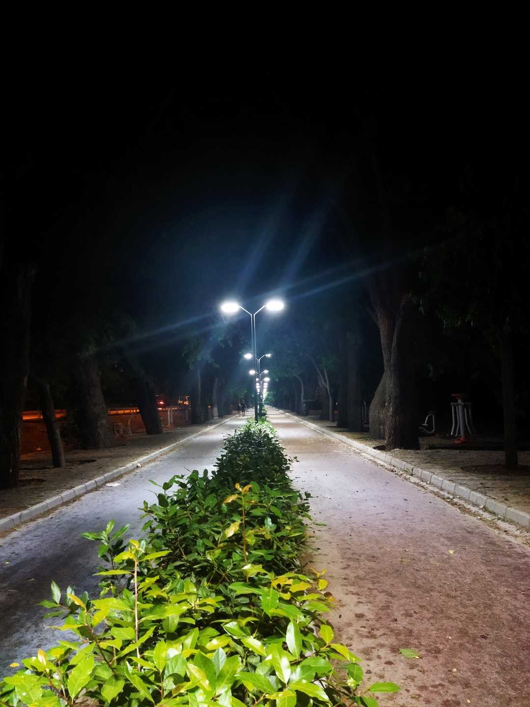 Dutlu Yol