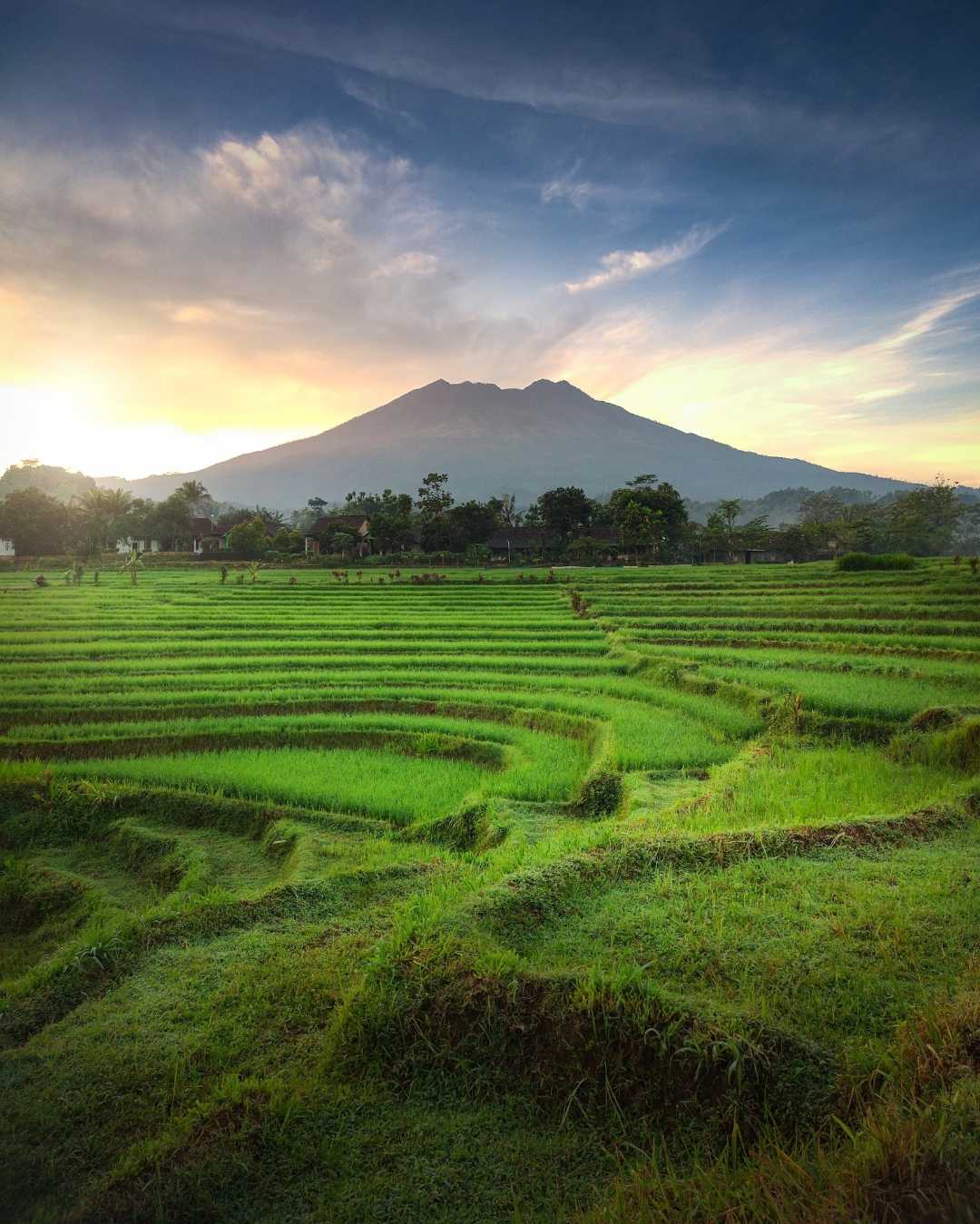 Sunrise.