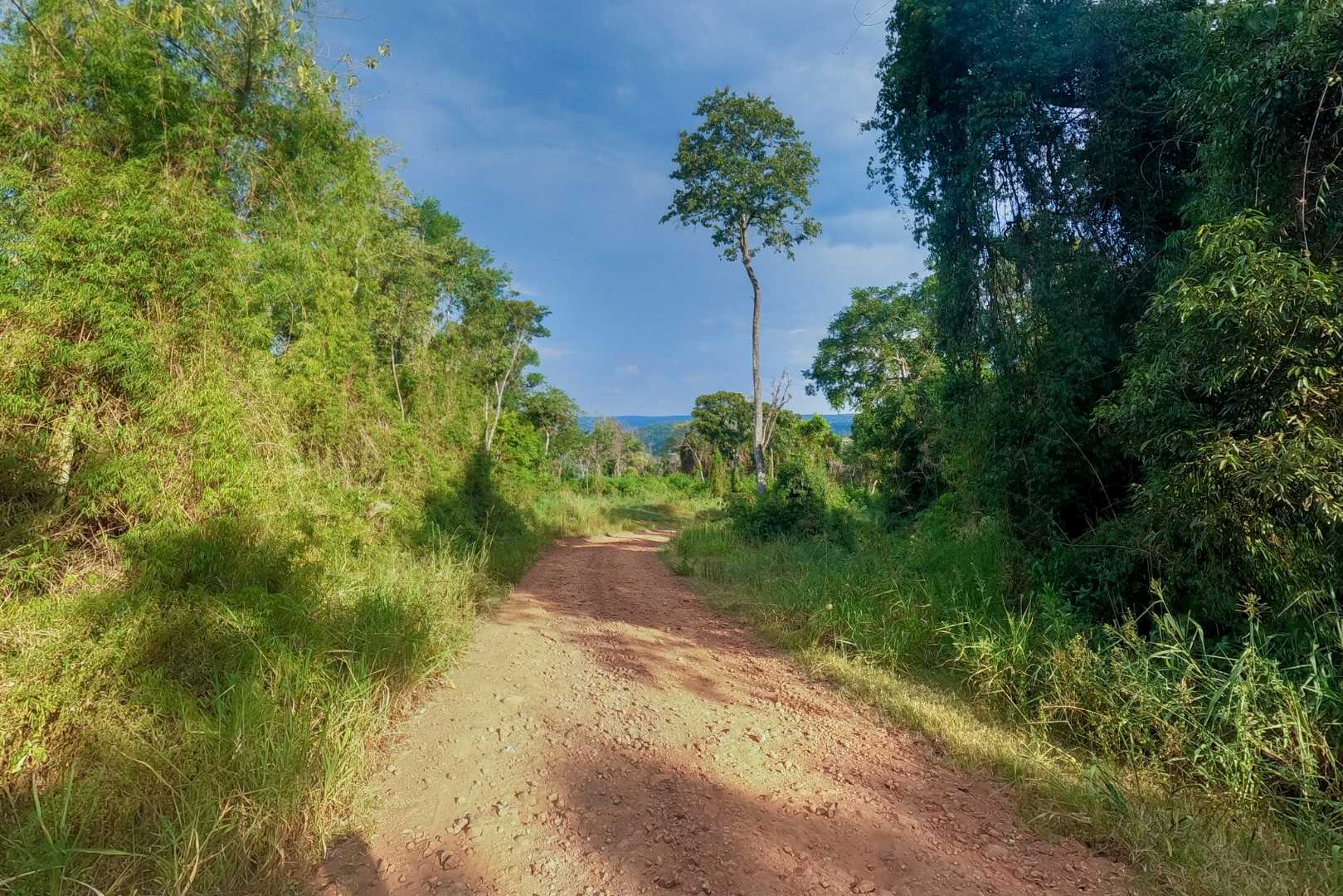 Ruta 21