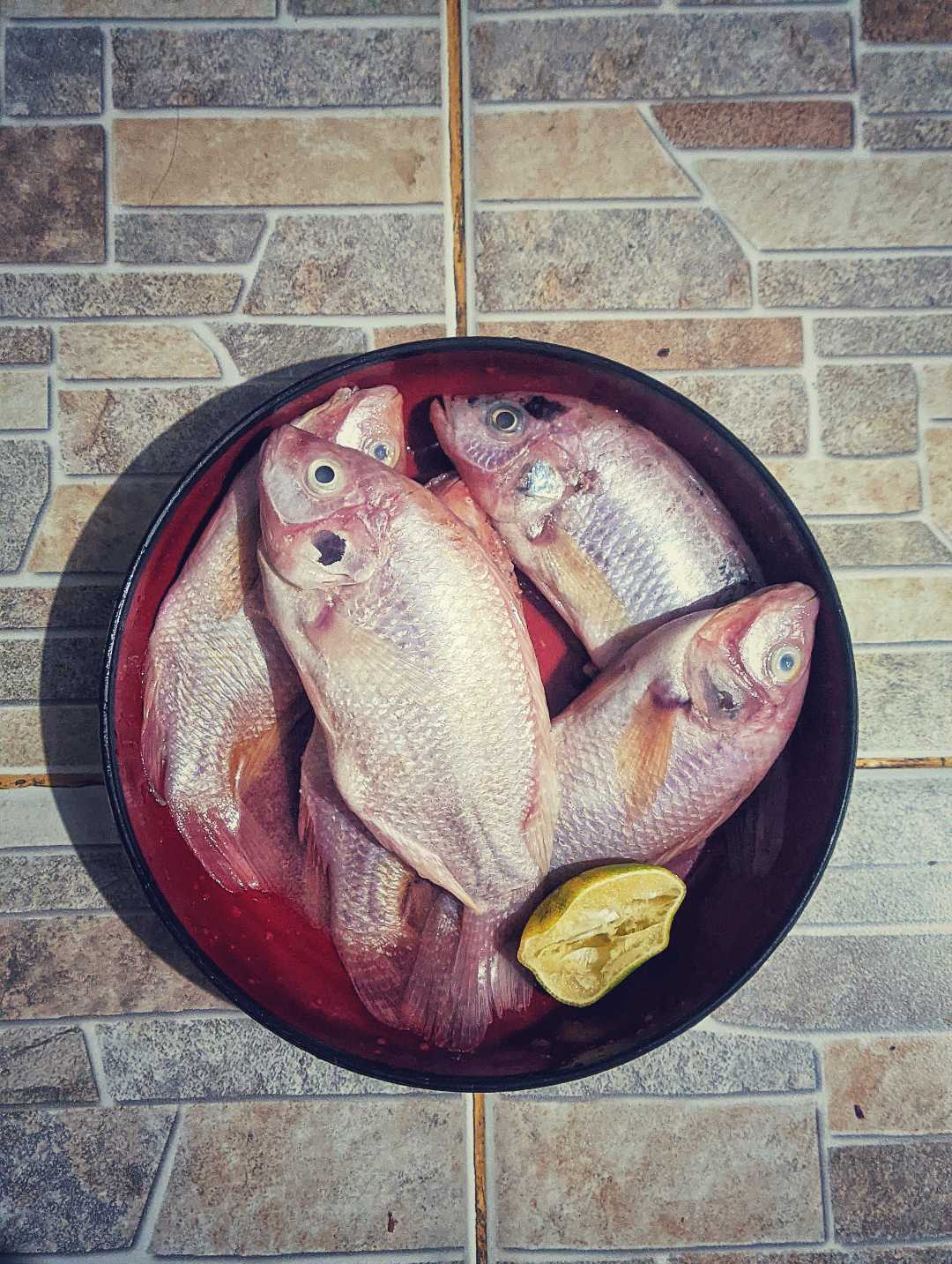 Ikan nila