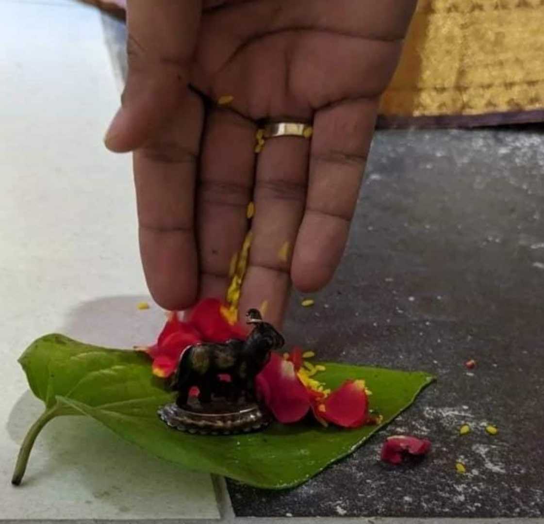 pooja 