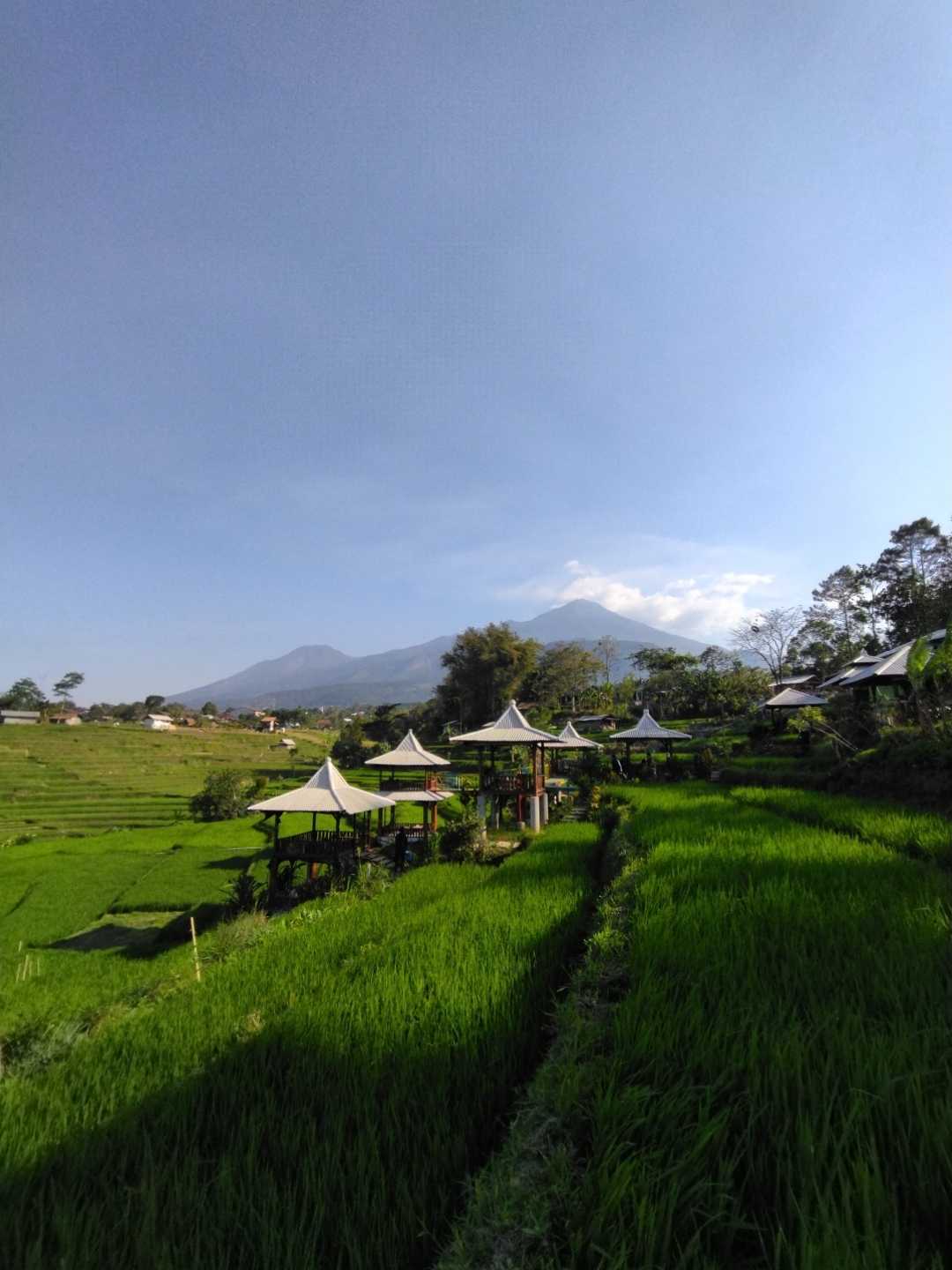 Kafe Unik di Brenjonk