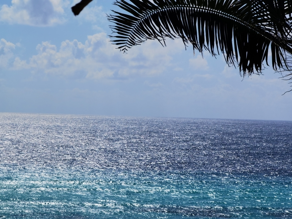 Isla Mujeres 