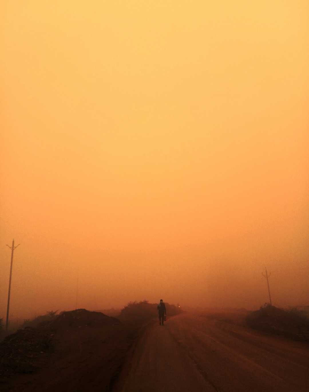 Fogg 🧡