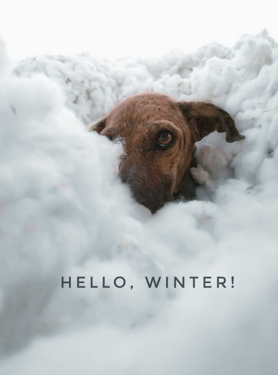 Hello Winter!