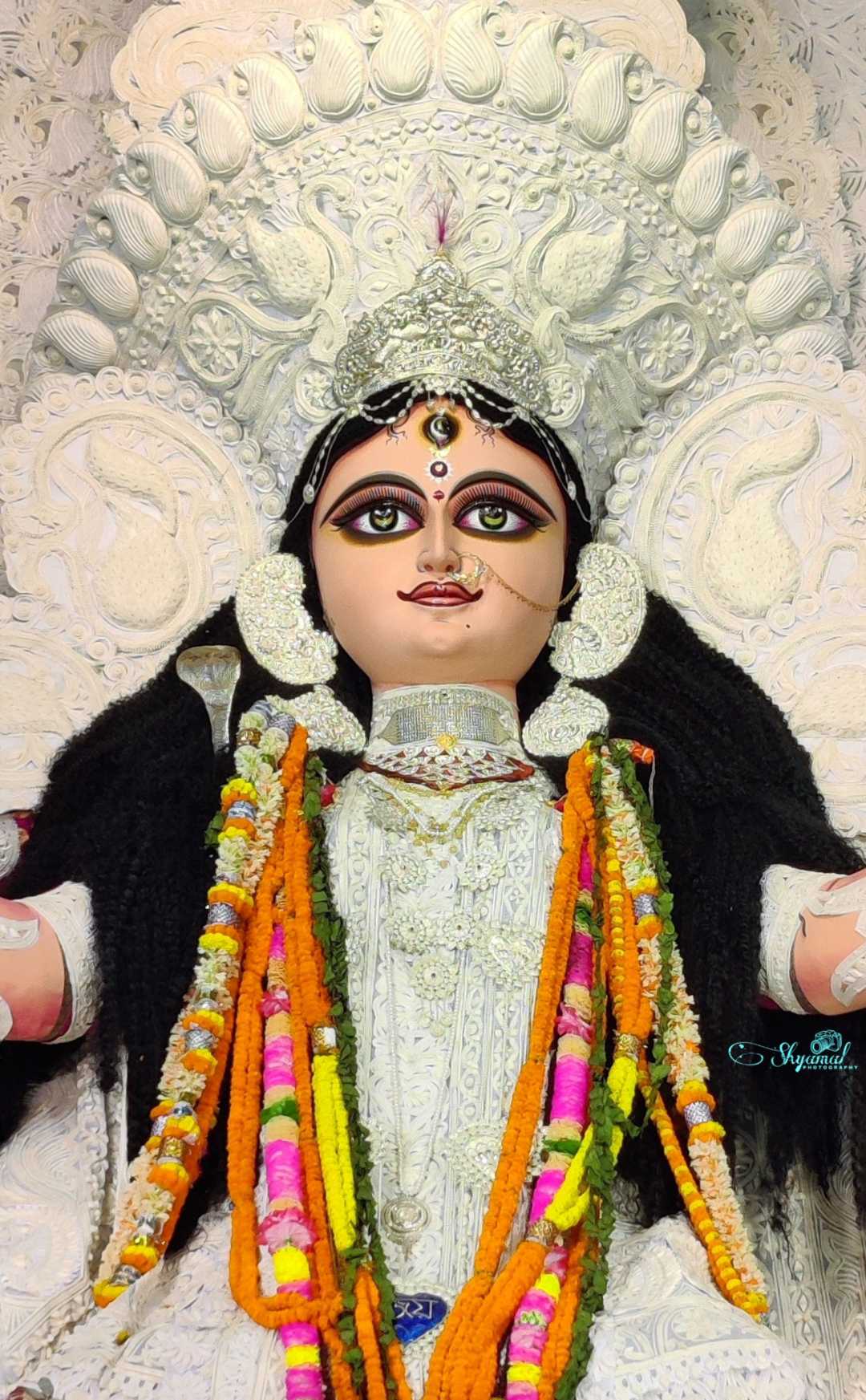 jagadhatri Puja ❤️🙏