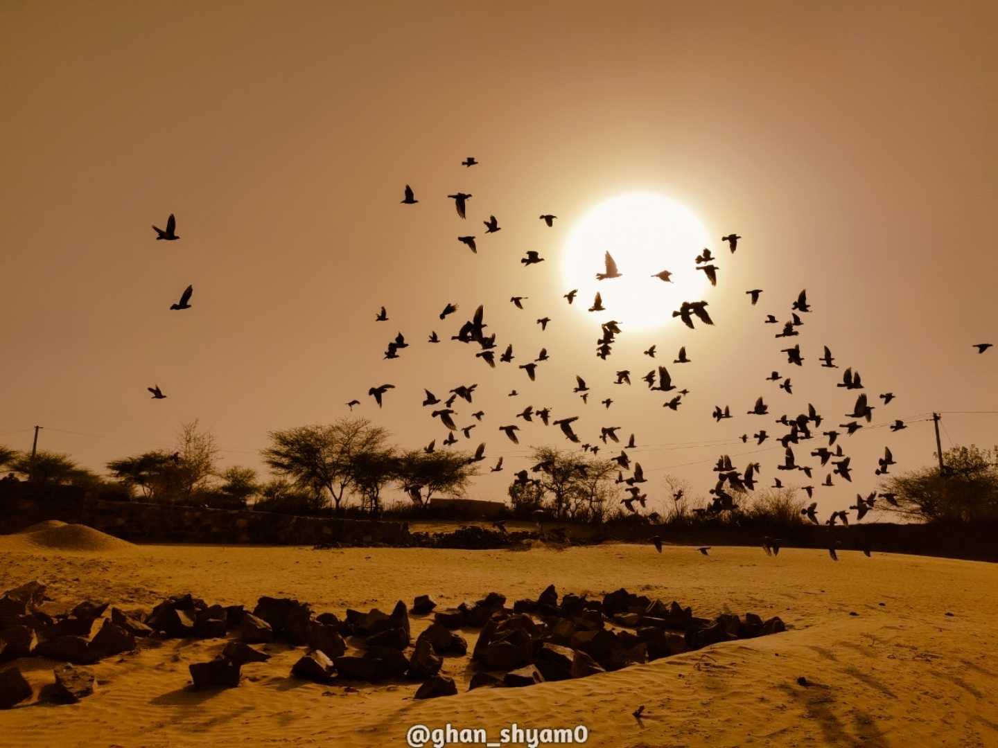 sunrise from desert 😊