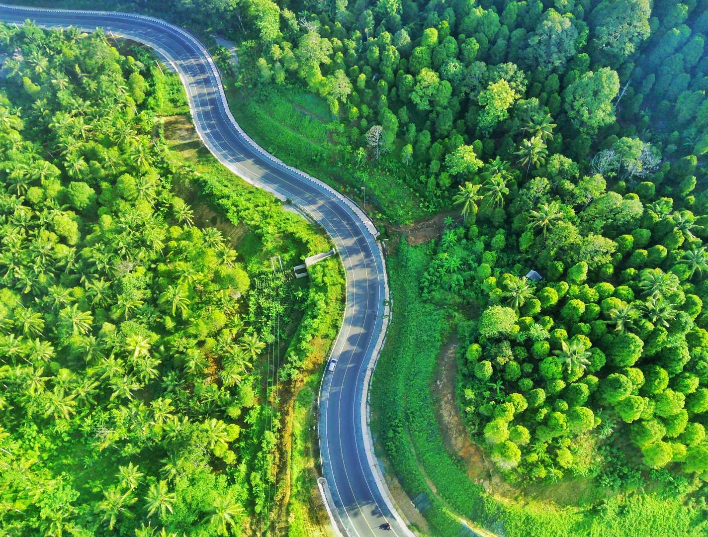 JLS/Jalur Lintas Selatan/Southern Crossing Road Tulungagung