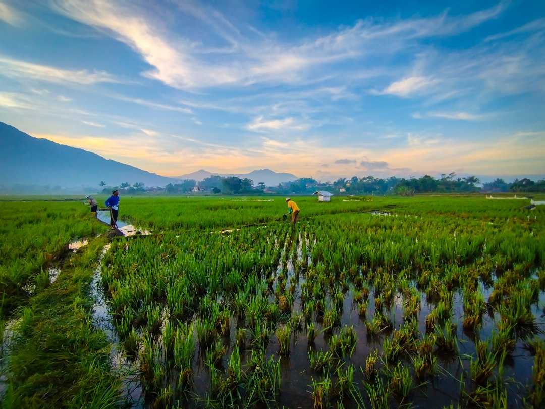 Cibatu, Garut
