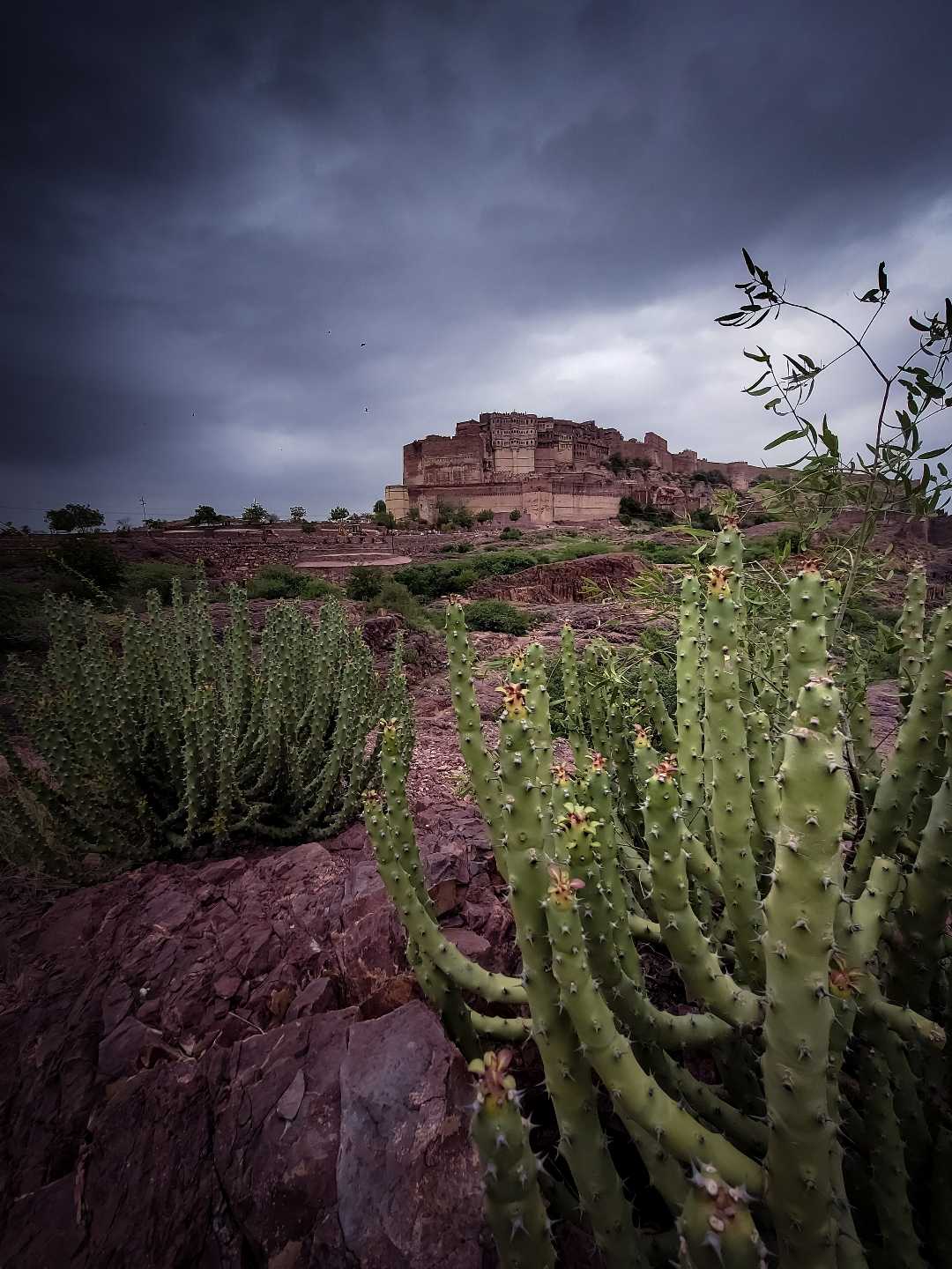Meherangarh Fort
